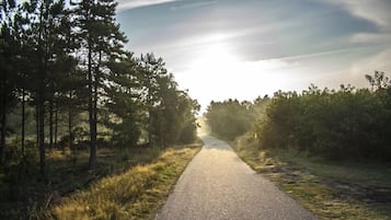 Eksteriør