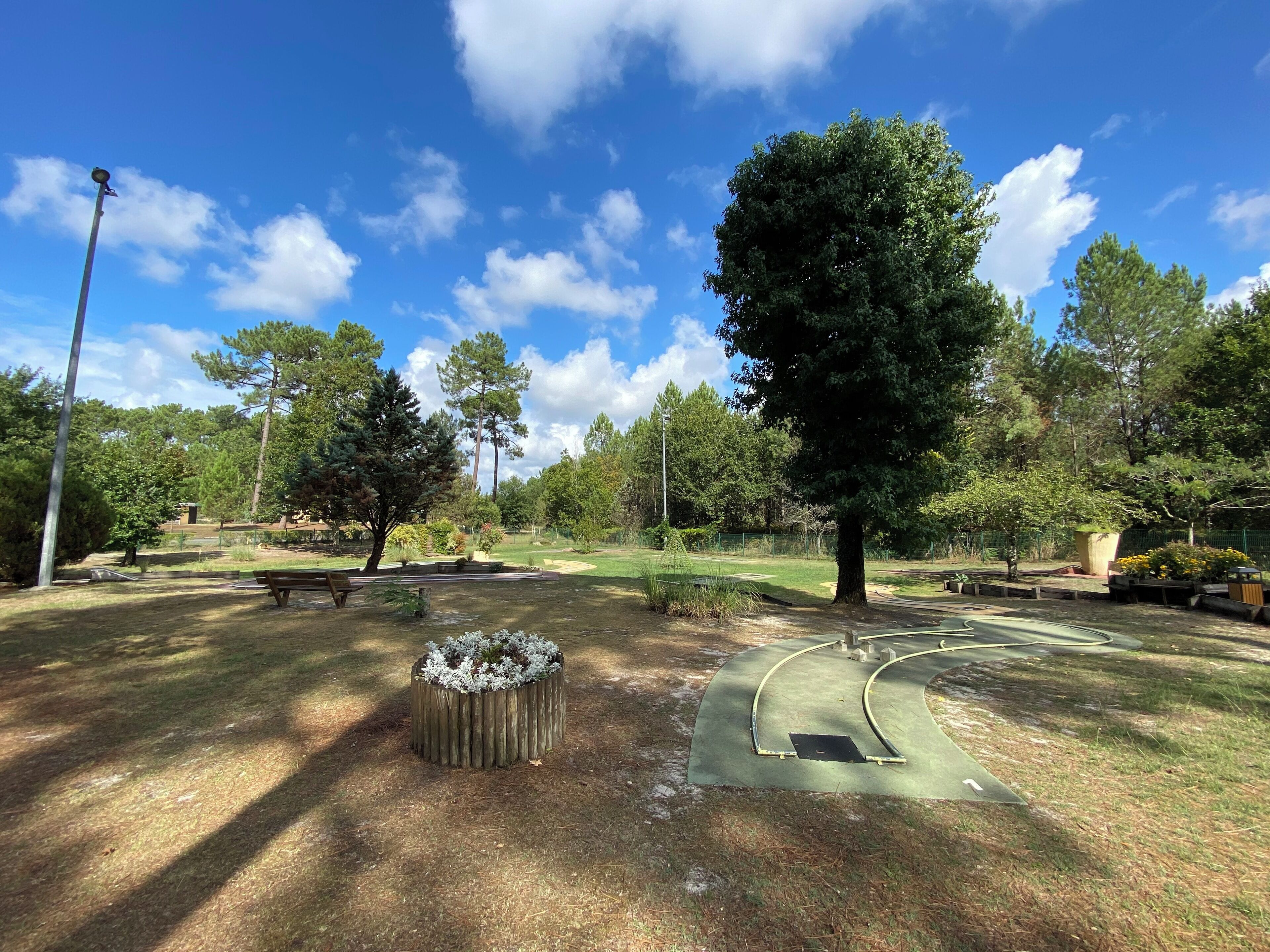 A park with a circular wooden bench, a paved path, and a large tree.