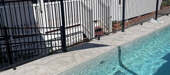 Glebe Cottage with swimming pool. Pet friendly with lots of space to run.