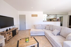 Fernseher, Kamin