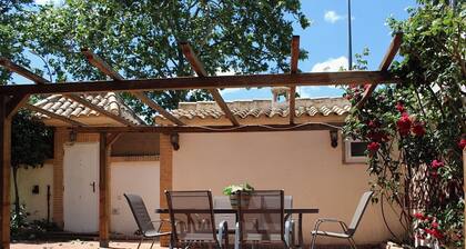 Apartment with garden and swimming pool for exclusive use in Ciudad Real