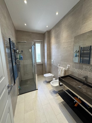 Shower, hair dryer, bidet, towels