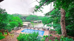 A swimming pool surrounded by lush greenery and a wooden deck.