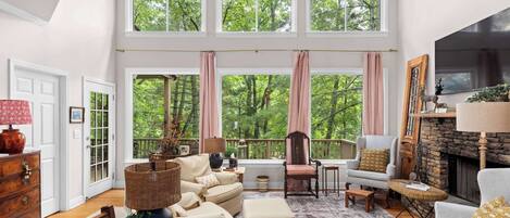 Télévision, cheminée, livres, espaces bureaux