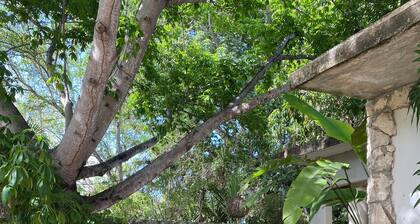 Tropical Garden Stay Just Minutes from Airport