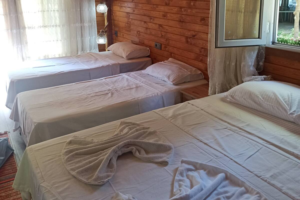 Ein Zimmer in einer Holzhütte mit zwei Betten, einem Fenster mit Vorhängen und einer Hängelampe.