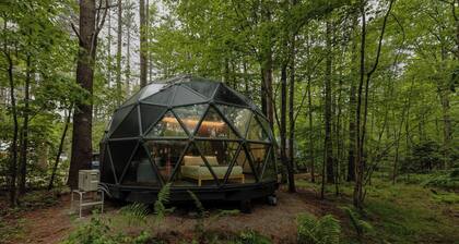 Large, luxurious geodesic dome - 08