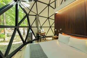 2 bedrooms, WiFi, bed sheets - Large, luxurious geodesic dome - 07 (Freeport)
