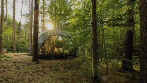 Een geodetische koepelstructuur in een bebost gebied, met natuurlijk licht dat door de bomen heen valt.