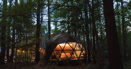 Large, luxurious geodesic dome - 07