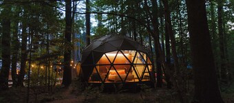 Large, luxurious geodesic dome - 07