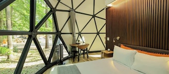 Large, luxurious geodesic dome - 07