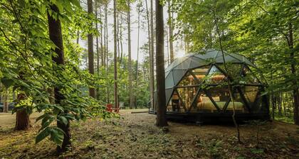 Large, luxurious geodesic dome - 07