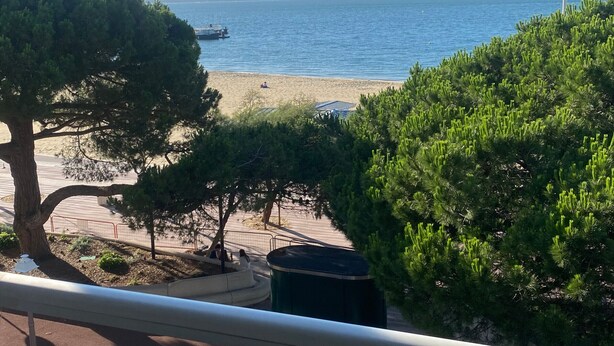 Une plage avec vue sur la mer, des arbres et un bateau au loin.