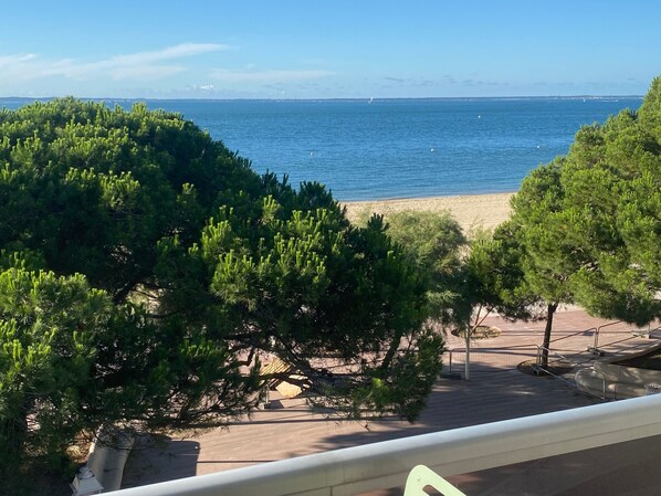 A coastal view with a sandy beach and dense green trees in the foreground. - 3-room apartment in Arcachon center with sea view, WIFI, secure parking (Arcachon)