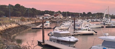 Marina