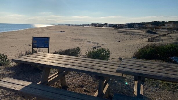 A beach with a wooden bench and a sign, under a clear sky. - T2 Saint-Pierre-La-Mer - Parking - 3/4 people (Fleury-Saint-Pierre-la-Mer)