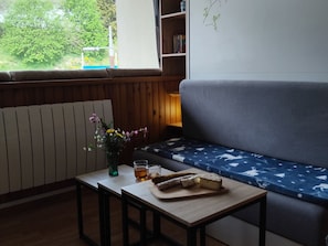 Fernseher