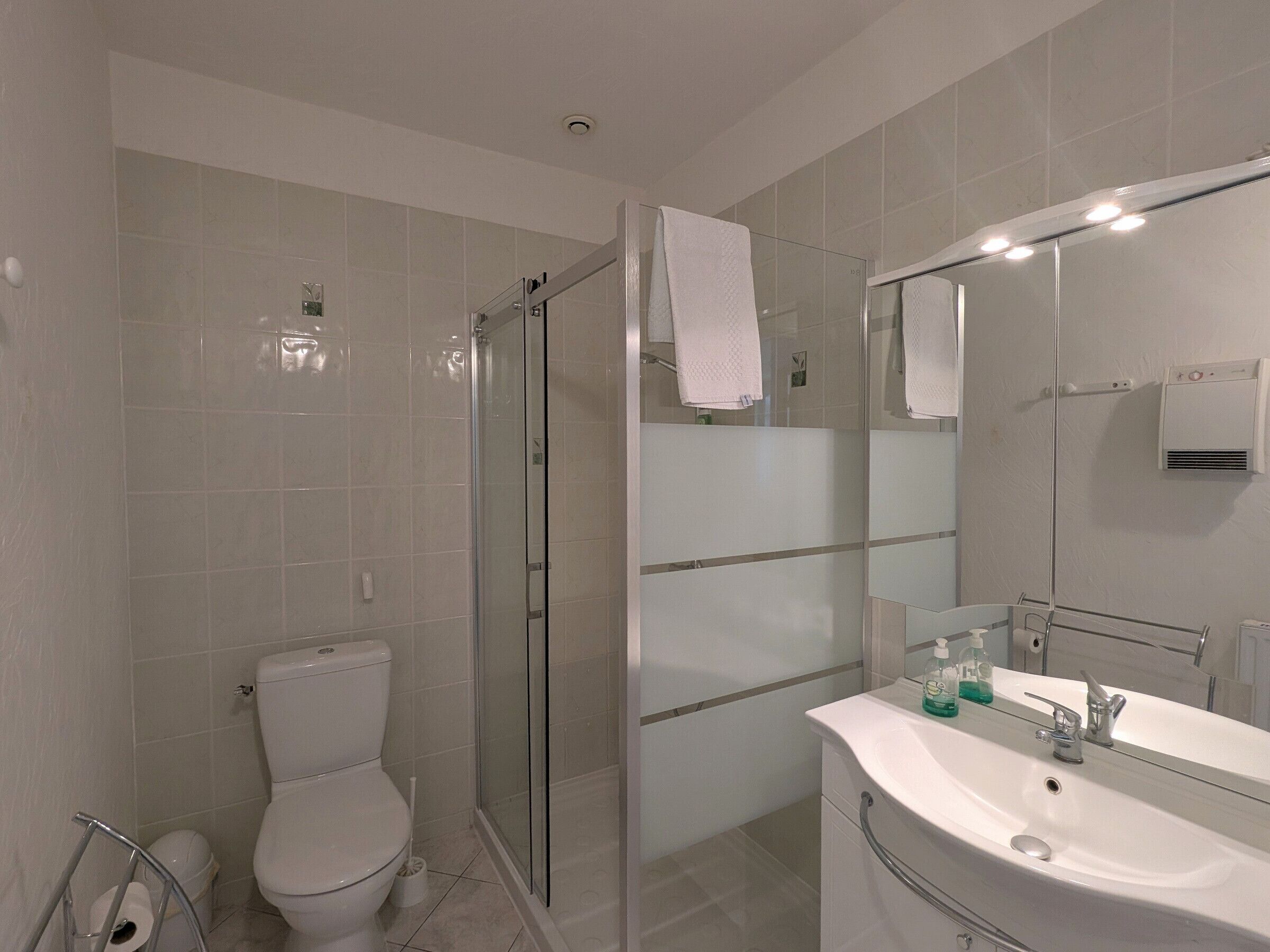 A modern bathroom with a toilet, glass shower enclosure, and a sink with a mirror.