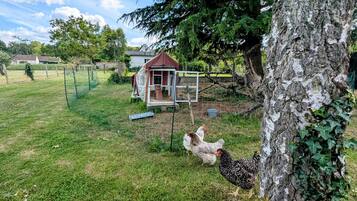 Enceinte de lâhĂ©bergement