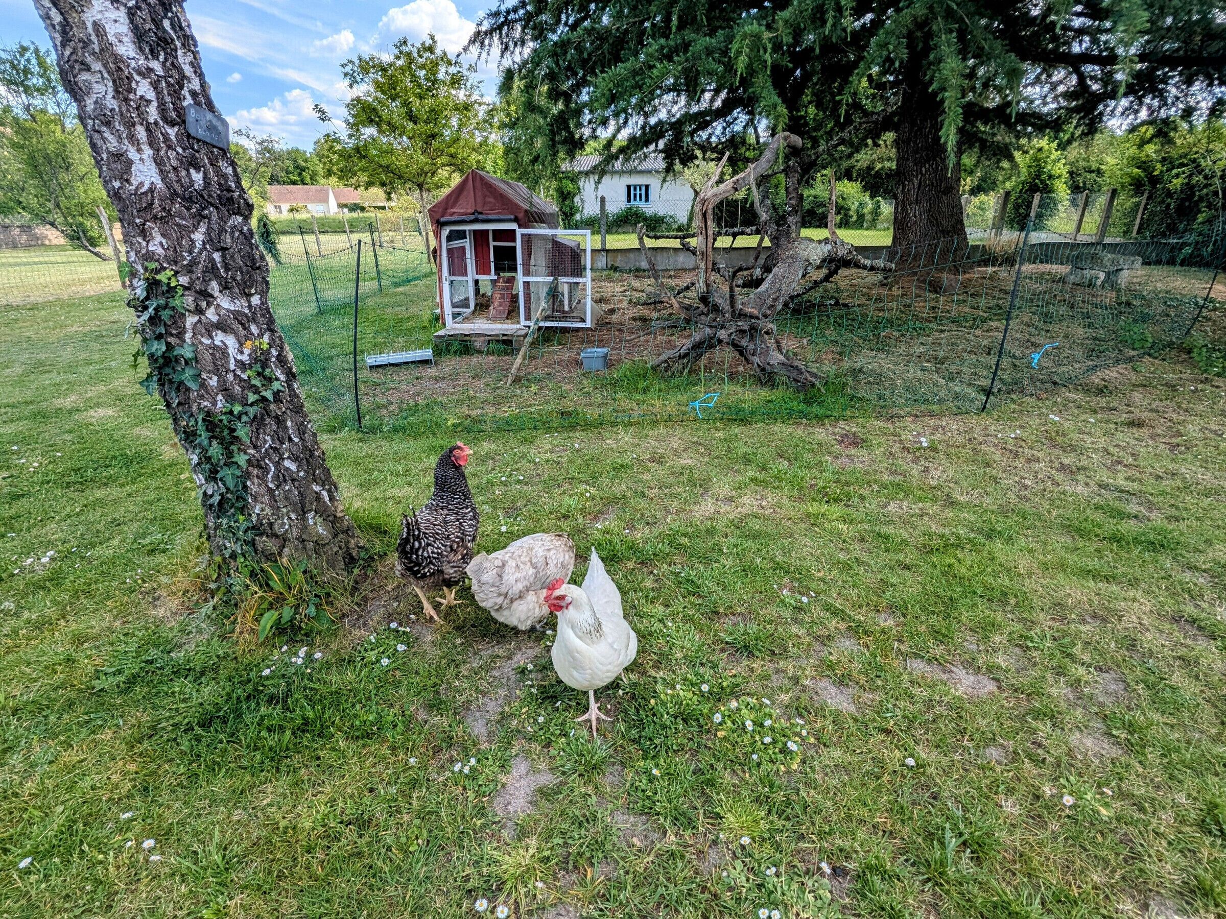 Enceinte de l’hébergement
