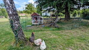 A rural setting with a fenced area, a small wooden structure, and two chickens. - Rural charm and relaxation near Loire castles (Chabris)