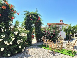 Terrace/patio - Villa Florida (AN)