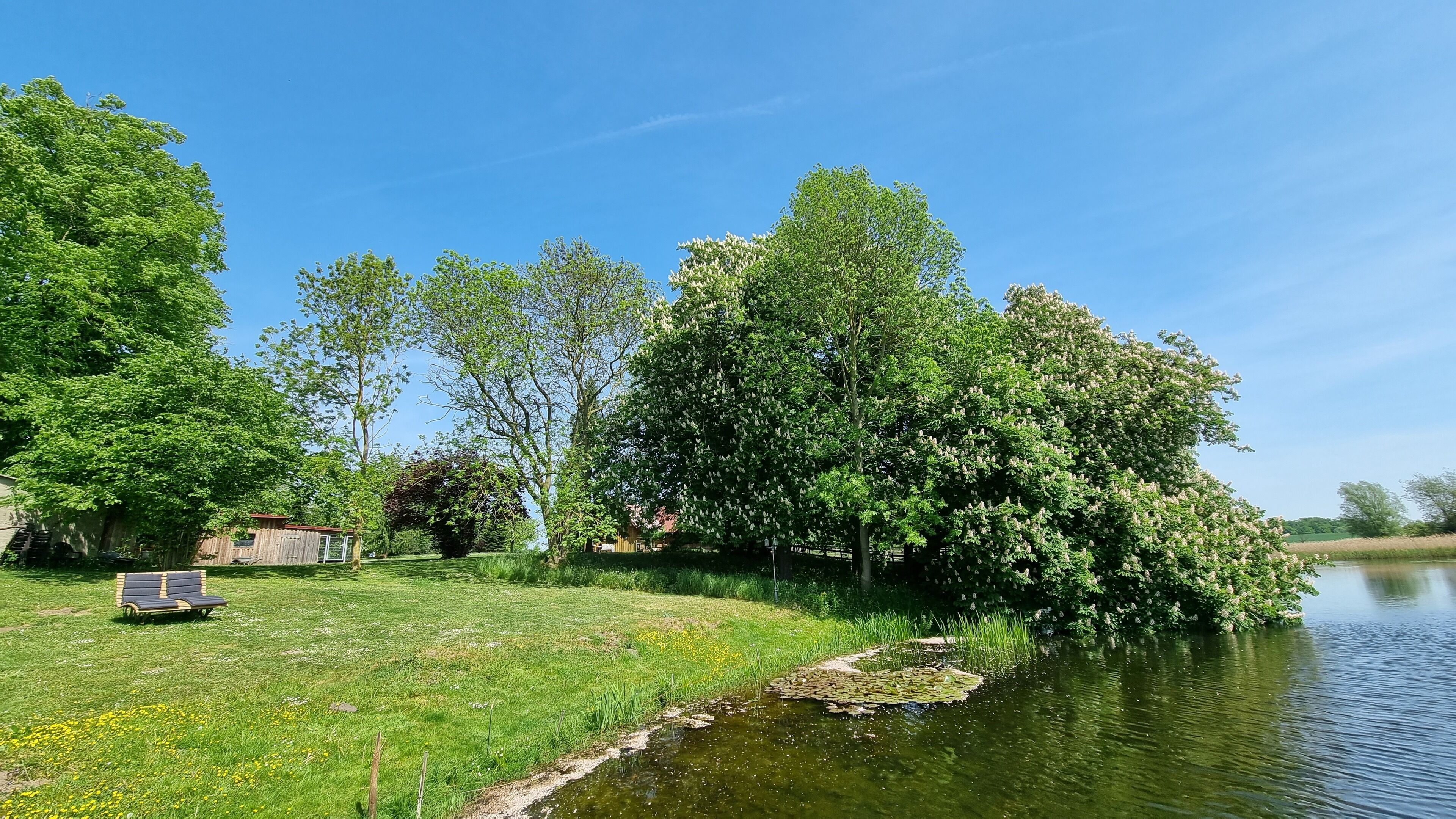 Fredfyldt flodbred med frodig vegetation og en bænk ved vandet.