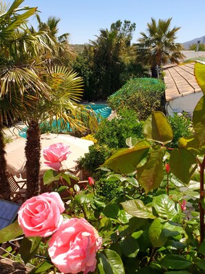Property grounds - Cortijo Paraiso - Perfect Tropical Paradise (Pet Friendly) sleeps 6 (Venta Del Peral)