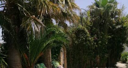 Cortijo Paraiso - Perfect Tropical Paradise (Pet Friendly) sleeps 6