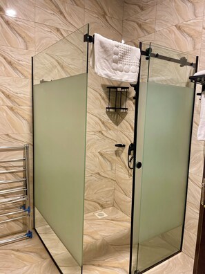 Shower, hair dryer, bidet, towels