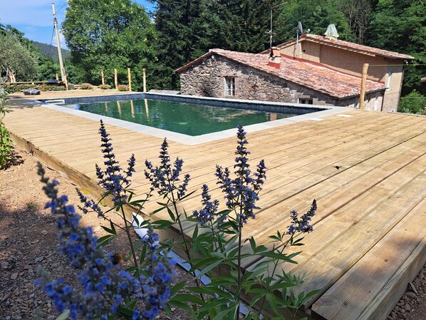 Outdoor pool - 7BR Tuscan Oasis with Pool (Capannori)