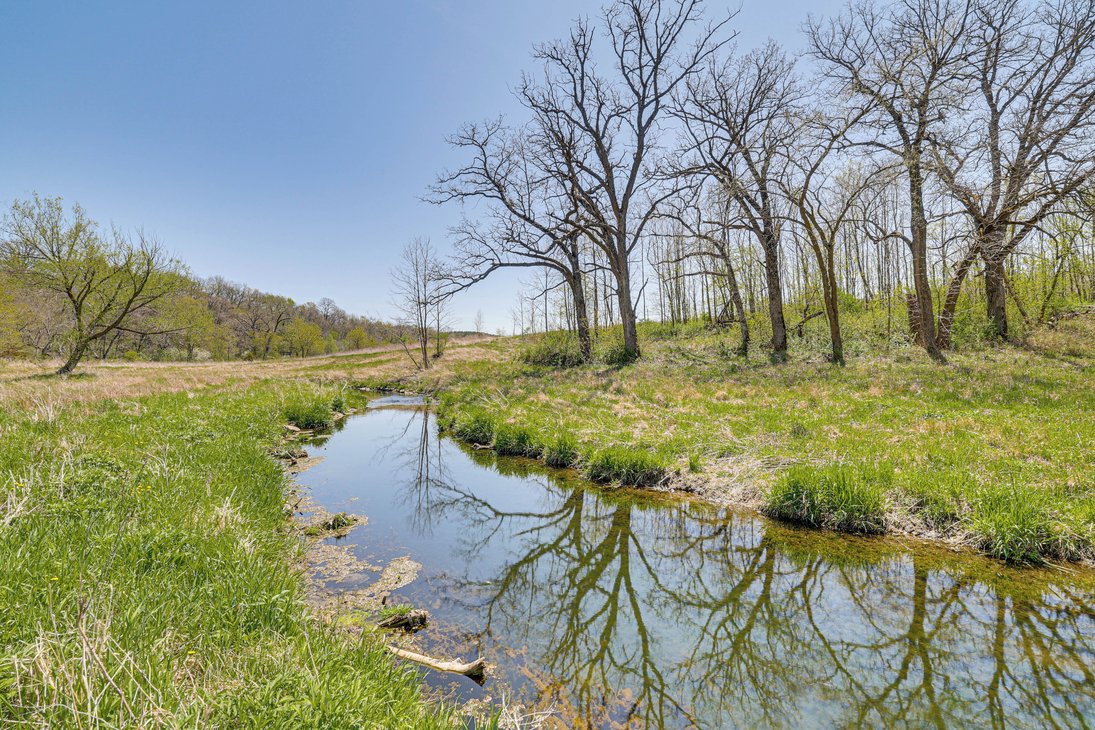 Un paisaje natural con un pequeño arroyo, árboles y zonas cubiertas de hierba.