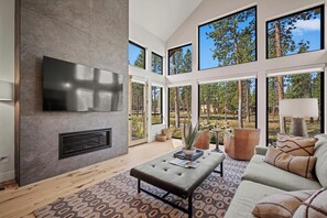 TV, fireplace