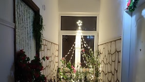 Un couloir étroit agrémenté d’un sapin de Noël décoratif, d’un banc et de plantes en pot.