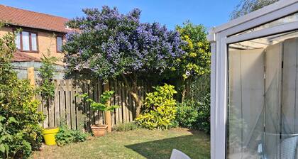 Cosy semi off grid eco cabin in Penarth, very quiet location.