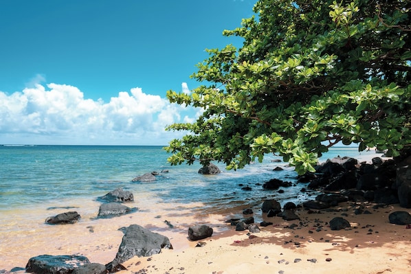 Beach nearby
