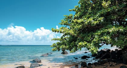 Emmalani Pool House - Luxurious, beautiful and spacious Princeville House