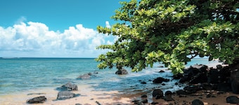 Emmalani Pool House - Luxurious, beautiful and spacious Princeville House