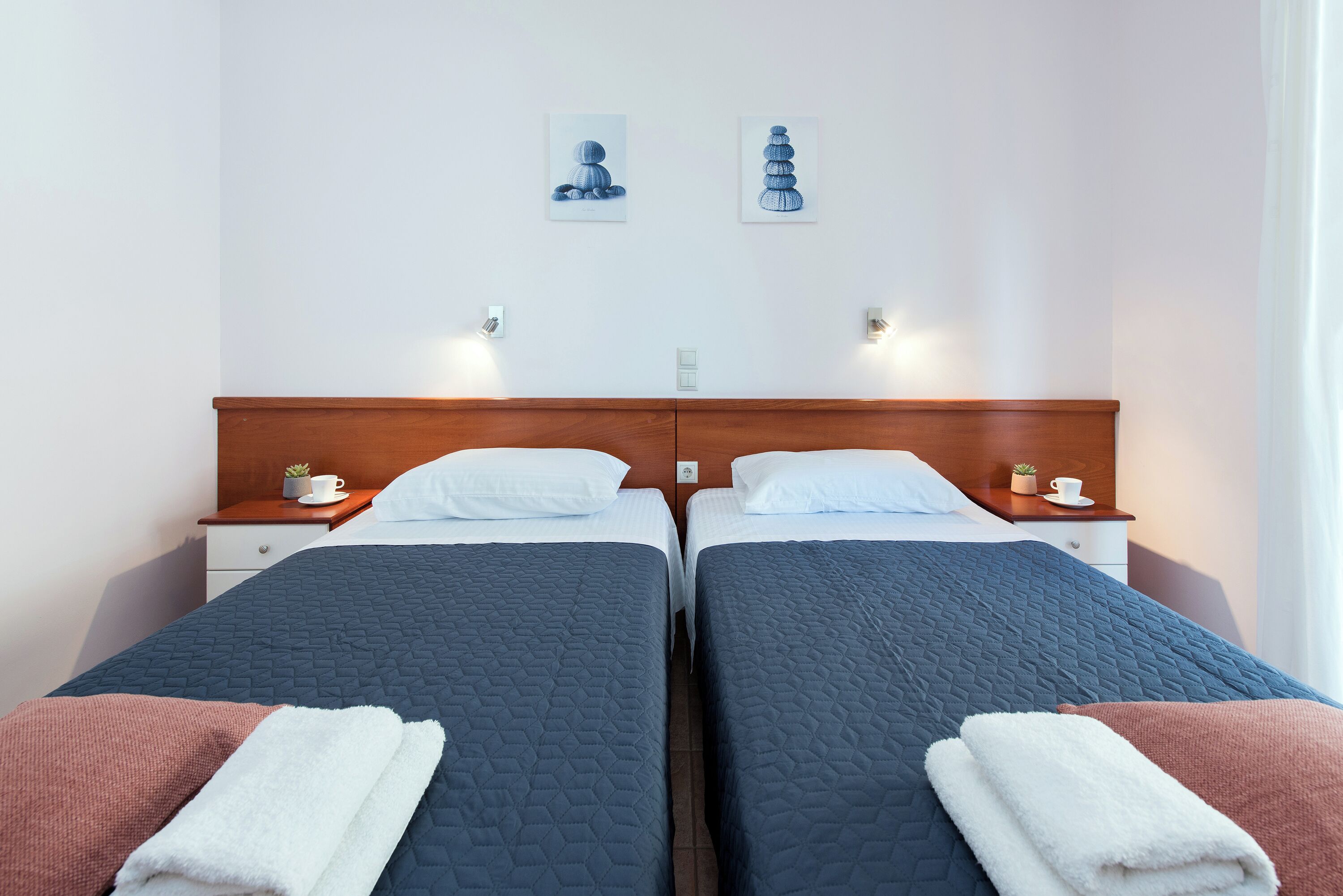 A hotel room with two beds, each with a wooden headboard, white pillows, and a blue quilted bedspread. There are two wall-mounted nightstands with small potted plants and a cup on each.