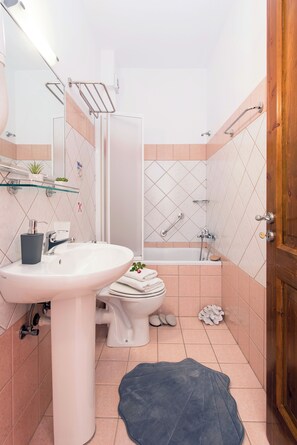 Ducha, secador de pelo, toallas, papel higiénico