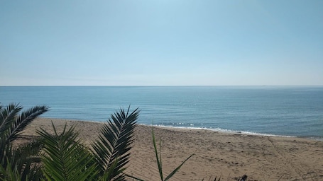 Playa