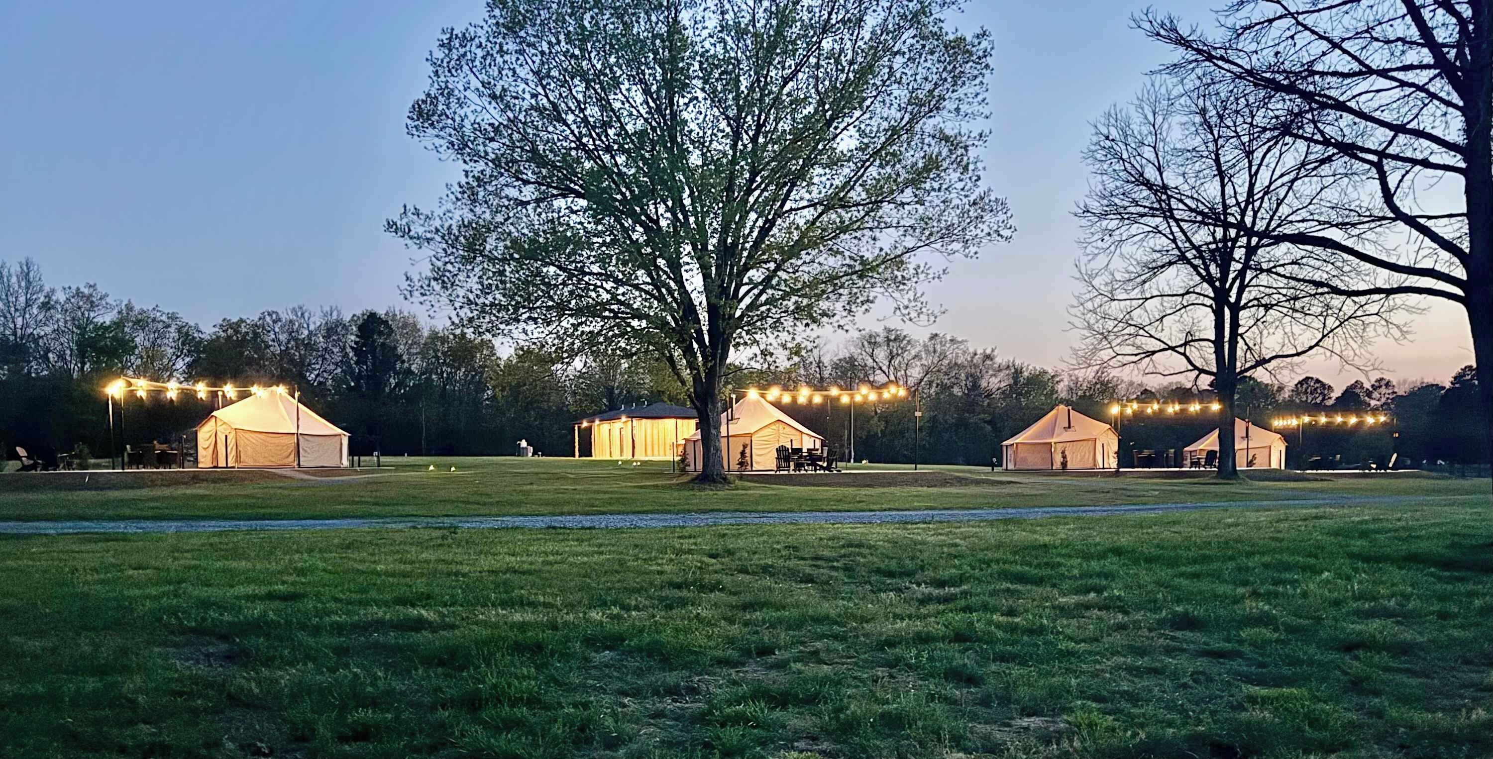 A grassy field with several yurts and tents, each illuminated by string lights.