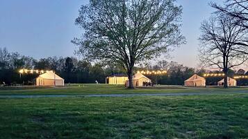 A grassy field with several yurts and tents, each illuminated by string lights.