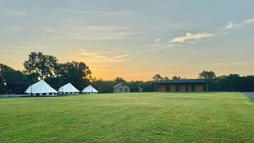 A grassy field with three white tents and a building in the distance.