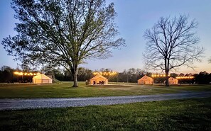 Un terrain de camping avec des tentes et des guirlandes lumineuses, entouré d’arbres et d’herbe.