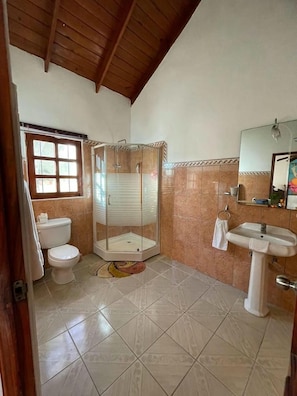 Shower, jetted tub, towels, soap