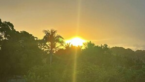 Un atardecer sobre un área boscosa con cielo despejado.