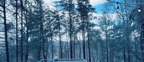 Un jacuzzi rodeado de árboles cubiertos de nieve y una terraza de madera.