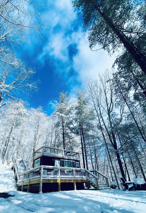 Una cabaña en un bosque nevado con cielo despejado.